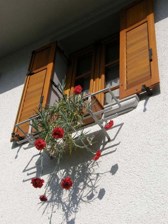 Apartment Savli Kobarid Cameră foto